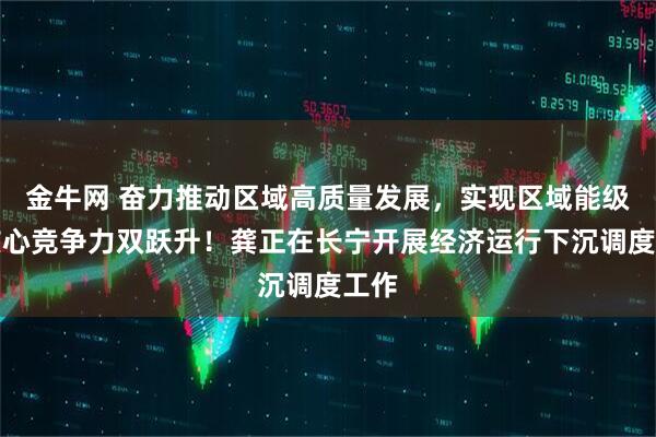 金牛网 奋力推动区域高质量发展，实现区域能级和核心竞争力双跃升！龚正在长宁开展经济运行下沉调度工作