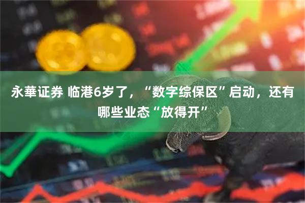 永華证券 临港6岁了，“数字综保区”启动，还有哪些业态“放得开”