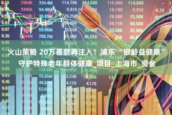 火山策略 20万善款再注入！浦东 “银龄益健康” 守护特殊老年群体健康_项目_上海市_资金