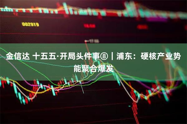 金信达 十五五·开局头件事⑧｜浦东：硬核产业势能聚合爆发